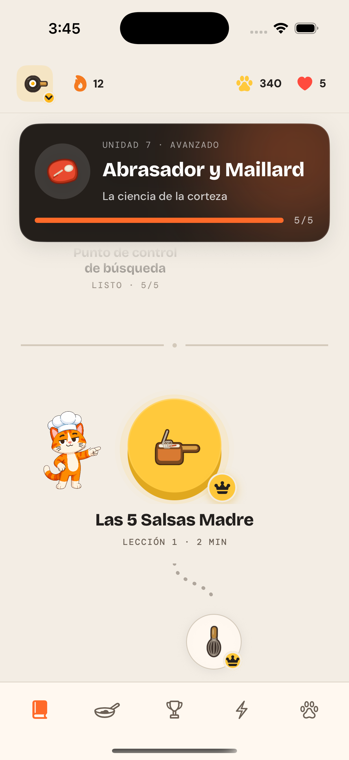 El camino de aprendizaje