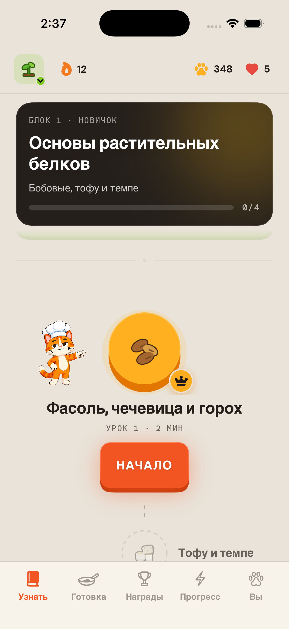 Путь обучения