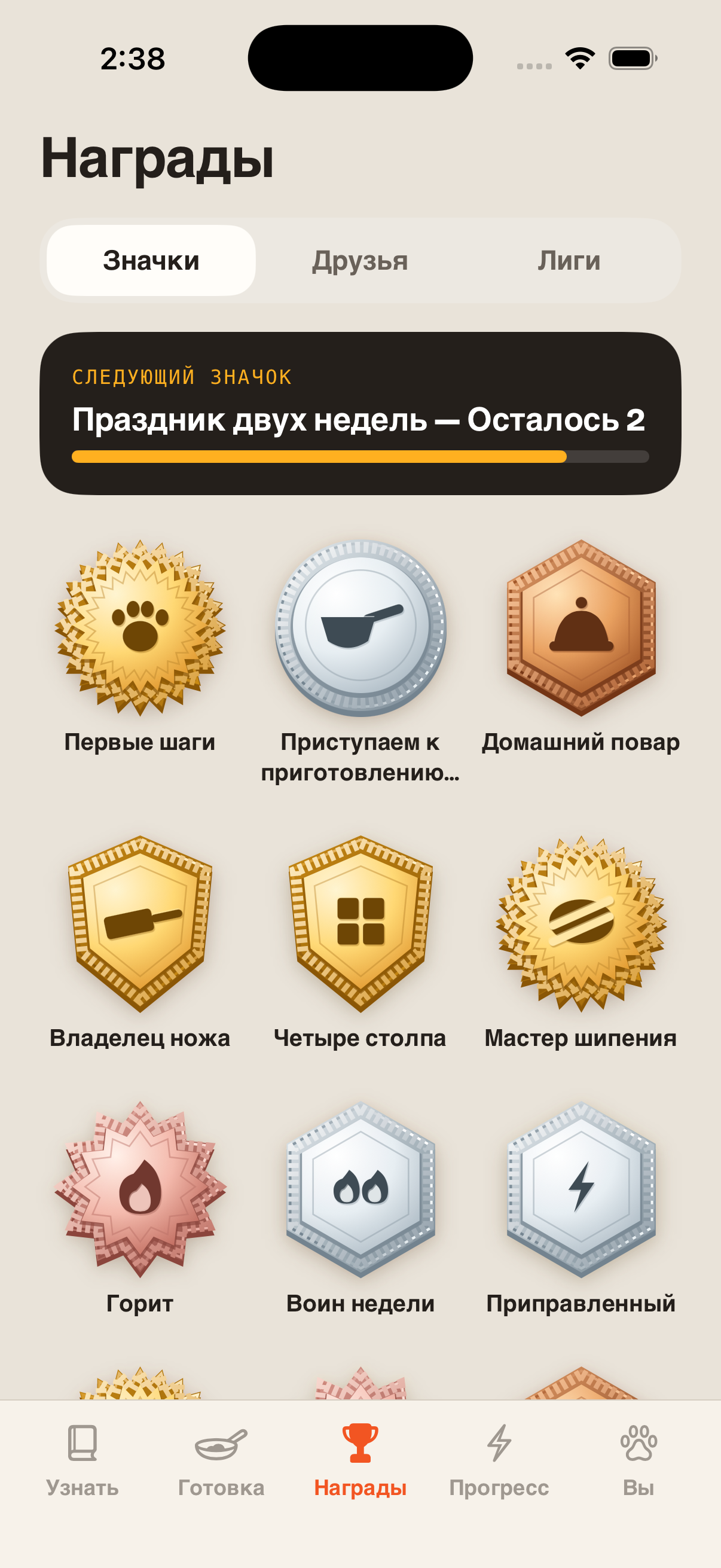 Достижения